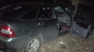 Автомобилистка врезалась в дерево на воронежской трассе: есть погибший и потерпевший