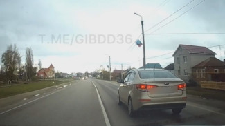 Воронежские полицейские пустились в погоню за нетрезвой автомобилисткой