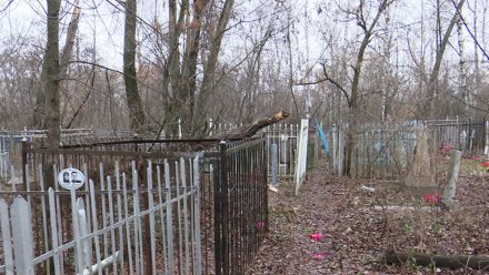 В Воронежской области разграбившие могилу ради металла вандалы получили реальные сроки   