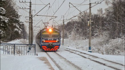 В Воронежской области подорожает проезд в электричках