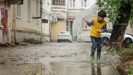 В Воронежской области за 40-градусной жарой придёт резкое похолодание
