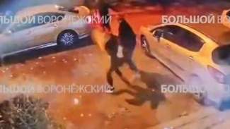 Следком начал проверку после похищения 17-летней девушки в Воронеже