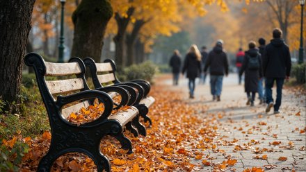 Прогноз погоды в Воронеже на 15.10.2025