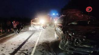 Два человека погибли и пять пострадали в массовом ДТП под Воронежем