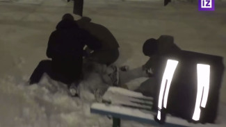 Появилось видео задержания украинских наёмников в Воронеже