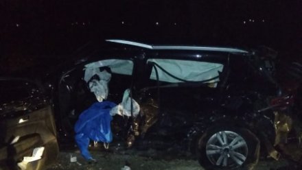 Полицейские показали фото с места смертельной массовой аварии в Воронежской области