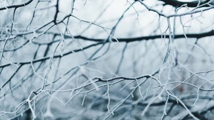 Новая неделя встретит воронежцев похолоданием