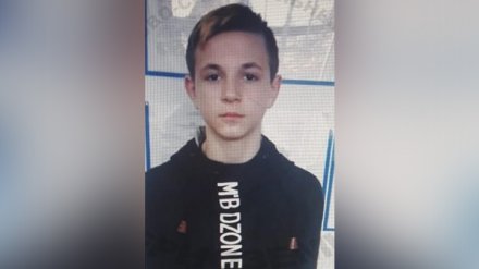 В Воронеже пропал 15-летний школьник
