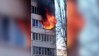 В Северном микрорайоне Воронежа загорелась квартира на 5 этаже