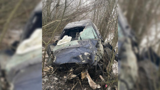 Audi вылетела в кювет и врезалось в дерево на воронежской трассе: пострадали 2 человека