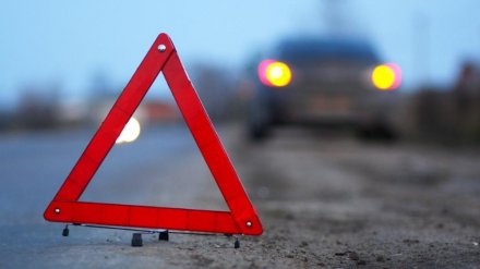 В Воронежской области в перевернувшемся автомобиле погиб севший за руль подросток