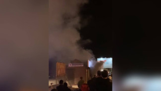 В Воронеже на Левом берегу загорелась шашлычная: появилось видео