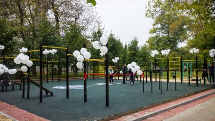 Воркаутеры получили новую площадку для тренировок в центре Воронежа
