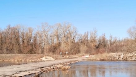 В Воронежской области движение по низководному мосту через Хопёр закрыли