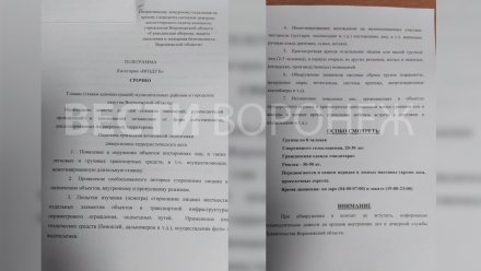 В Воронежской области начали распространять телеграмму о ДРГ