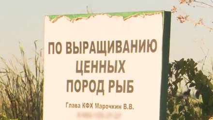 Торговца рыбой осудили за убийство владельца пруда под Воронежем