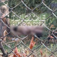 23-летнюю девушку нашли повешенной у воронежского ГАУ