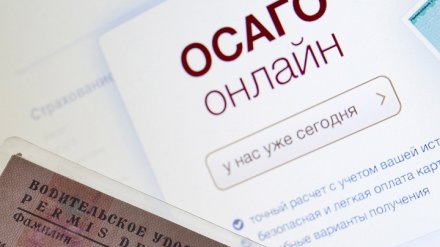 Воронежцев предупредили о мошенниках, продающих электронные полисы ОСАГО