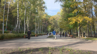 В воронежском Центральном парке стартовали ремонтные работы
