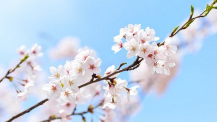Прогноз погоды на 6.05.2019
