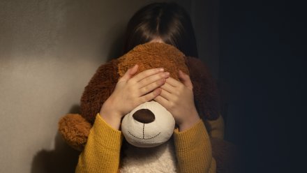 В Воронеже тамбовчанина осудили на 18 лет за совращение маленьких дочерей