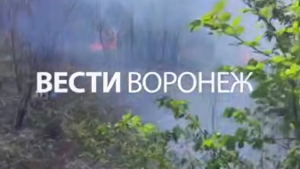 Сухая трава загорелась возле железной дороги в Воронеже