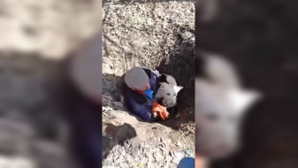 В Воронеже рабочий спас упавшую в открытый колодец собаку