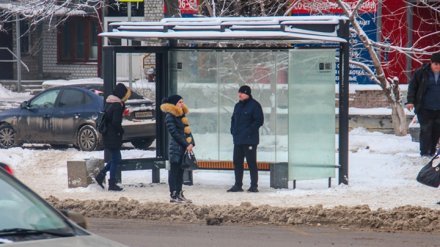 В Воронеже с декабря увеличат число автобусов на 4 маршрутах