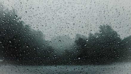 Ветреную и дождливую погоду пообещали воронежские синоптики в выходные