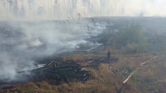 Воронежская область в выходные побила рекорд по числу пожаров 
