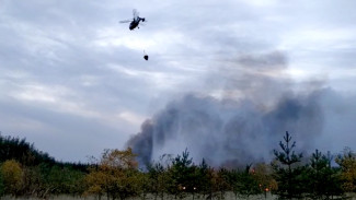 На горящую Воронежскую область с воздуха сбросили более 150 тонн воды