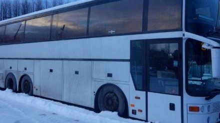 Под Воронежем полицейские «отогрели» сломавшийся на трассе автобус с пассажирами