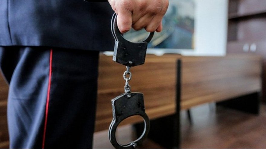 Под Воронежем главный ветеринар района получил суровый срок за взятки и бизнес на службе