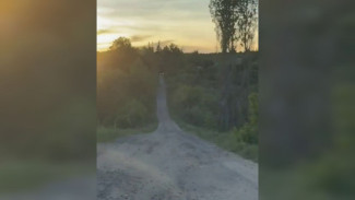 СК начал проверку после жалоб жителей воронежского СНТ на 12-летнее ожидание ремонта дорог