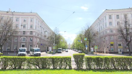 В центре Воронежа вырубят 17 деревьев