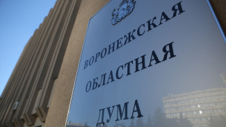 Воронежская облдума приняла законы в сферах соцподдержки и благотворительности