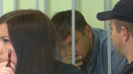 Борец с коррупцией из воронежского МВД проведёт в СИЗО 7 месяцев из-за обмана на 10 млн