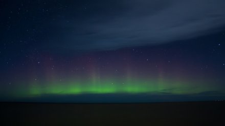 Астроном оценил шансы повторения северного сияния в выходные в Воронежской области