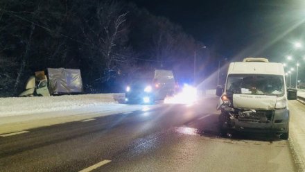 Водитель «Газели» пострадал в ДТП с микроавтобусом на трассе М-4 в Воронежской области
