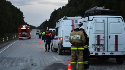 На трассе М-4 в Воронежской области иномарка влетела в маршрутный микроавтобус