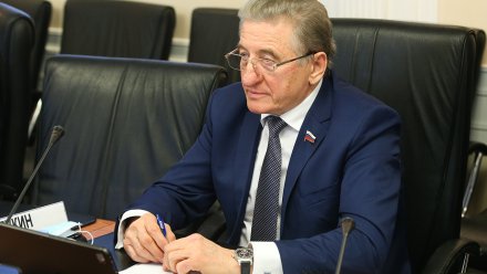 Воронежский сенатор призвал остановить взрывной рост цен на металлопрокат
