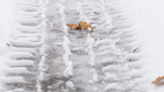 Мужчина умер на остановке в центре Воронежа