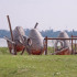 Суд арестовал счета и транспорт подрядчика Петровской набережной в Воронеже