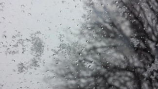 Первая неделя февраля принесёт в Воронежскую область снег, дожди и ветер 
