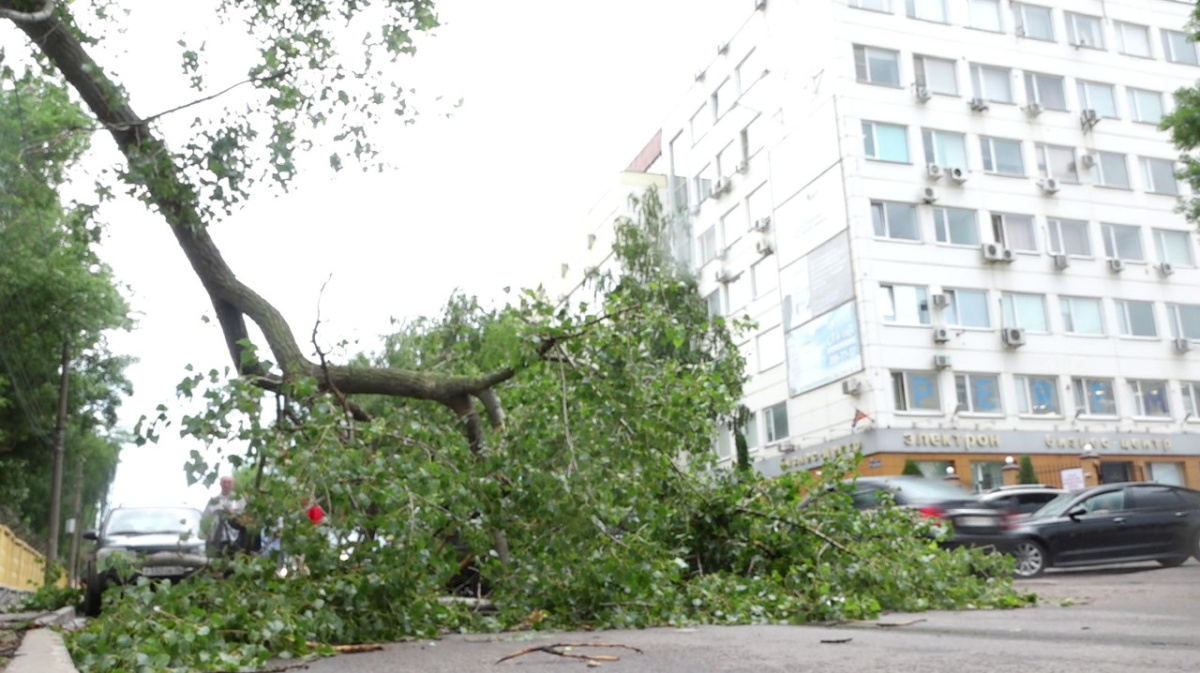 Шесть деревьев рухнули в Воронеже во время ночного урагана «Орхан» |  06.07.2024 | Воронеж - БезФормата