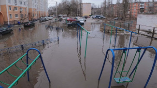 Царь-лужу на Левом берегу в Воронеже окрестили «Машметовским озером»