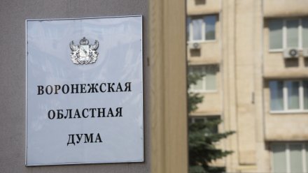 От 0,3 рублей до 2 млрд. Сколько заработали кандидаты в депутаты воронежской облдумы в 2024-м