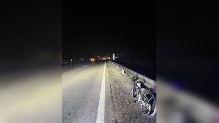 Водитель автобуса сбил 24-летнего велосипедиста на воронежской трассе
