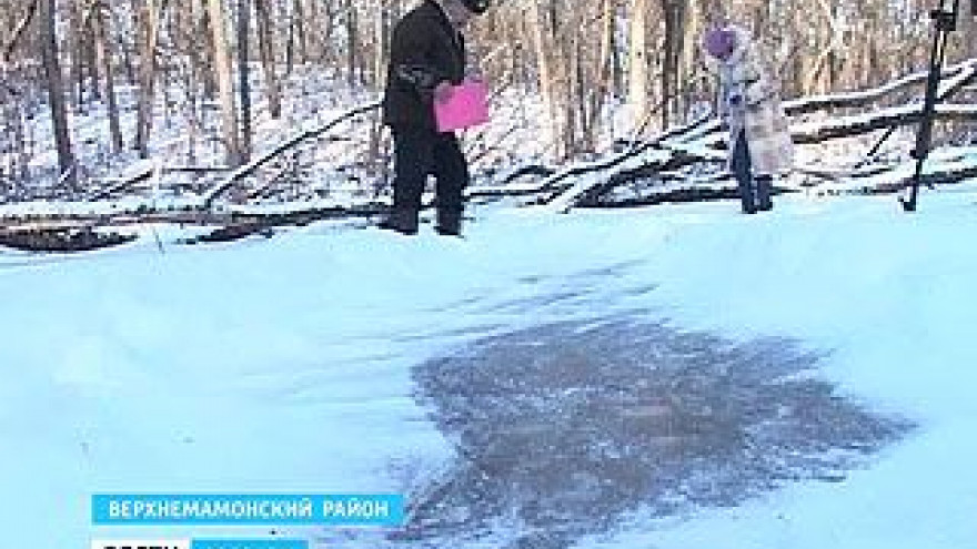 В области пересчитают бобров, ондатр и прочих обитателей нор
