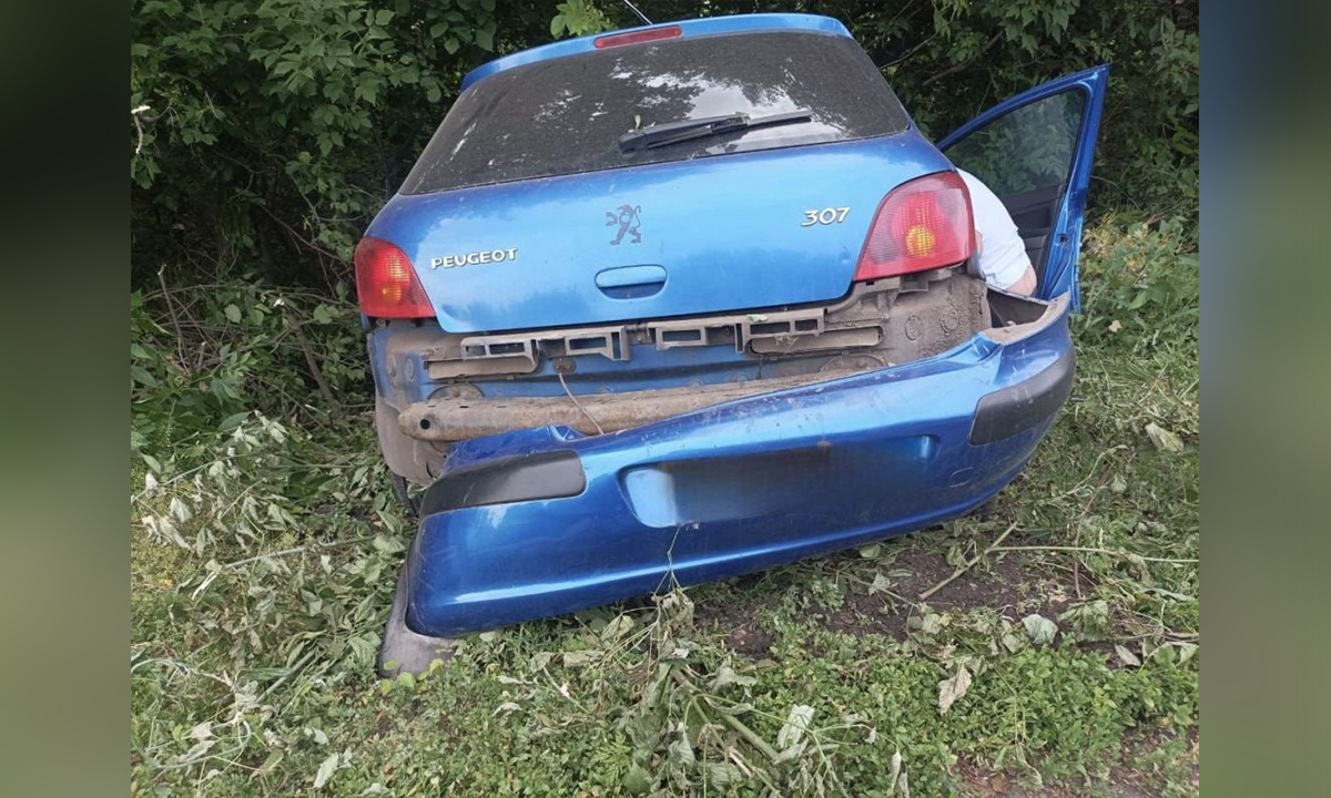 В Воронежской области иномарка съехала в кювет и врезалась в дерево:  водитель в больнице – Новости Воронежа и Воронежской области – Вести Воронеж